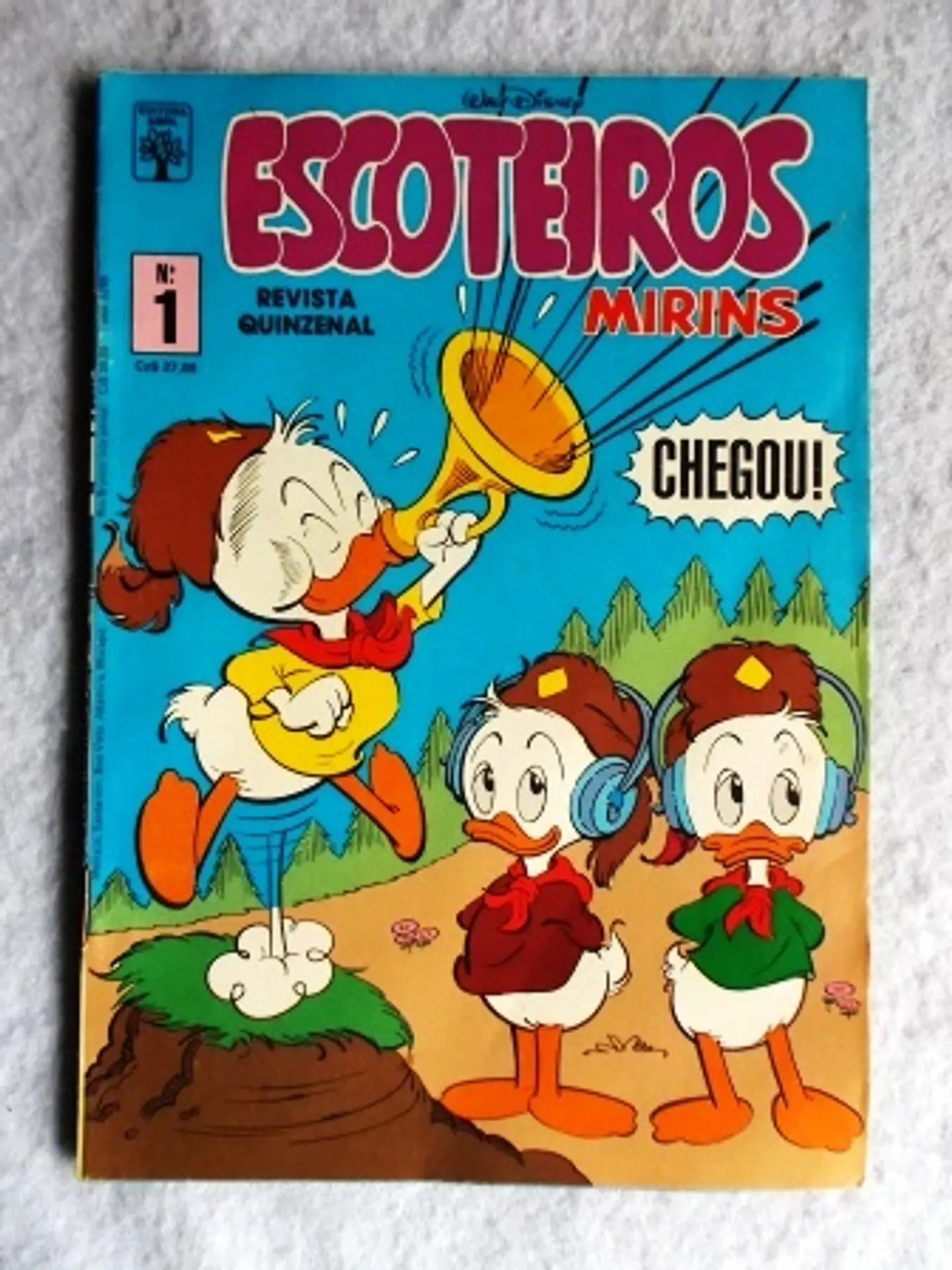 Escoteiros Mirins 001 1