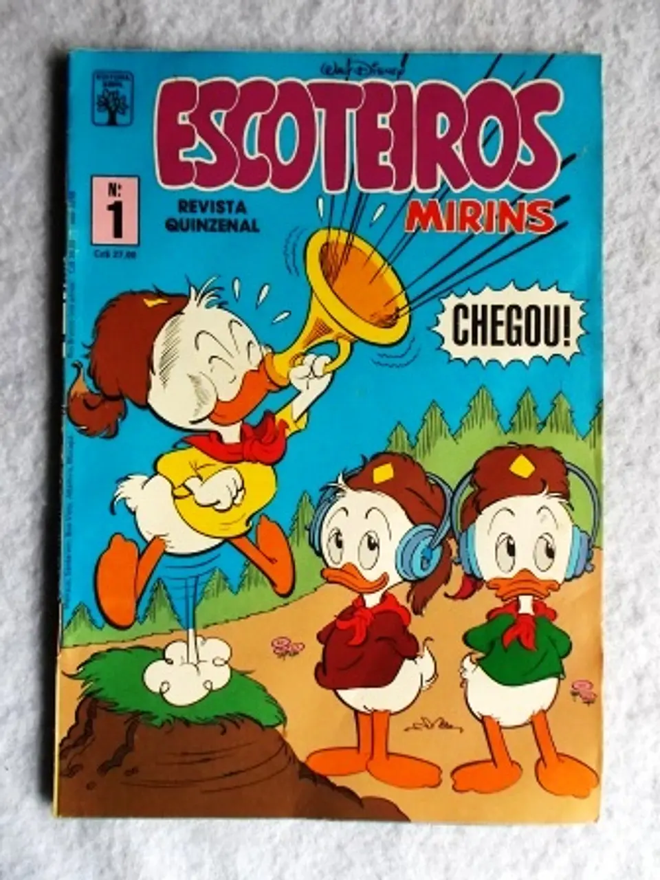 Escoteiros Mirins 001 1