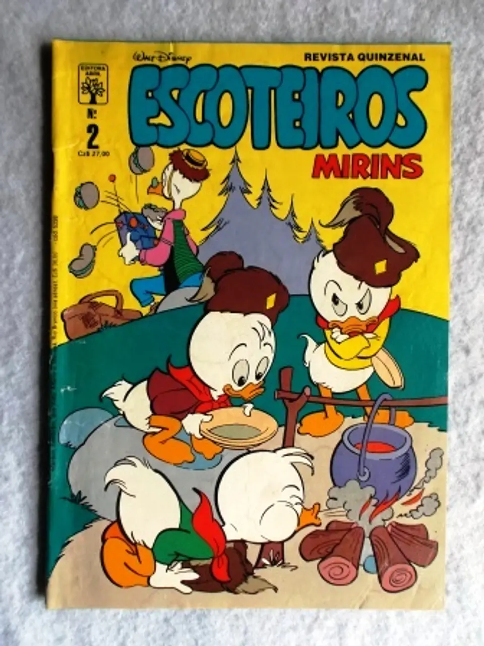 Escoteiros Mirins 002 1