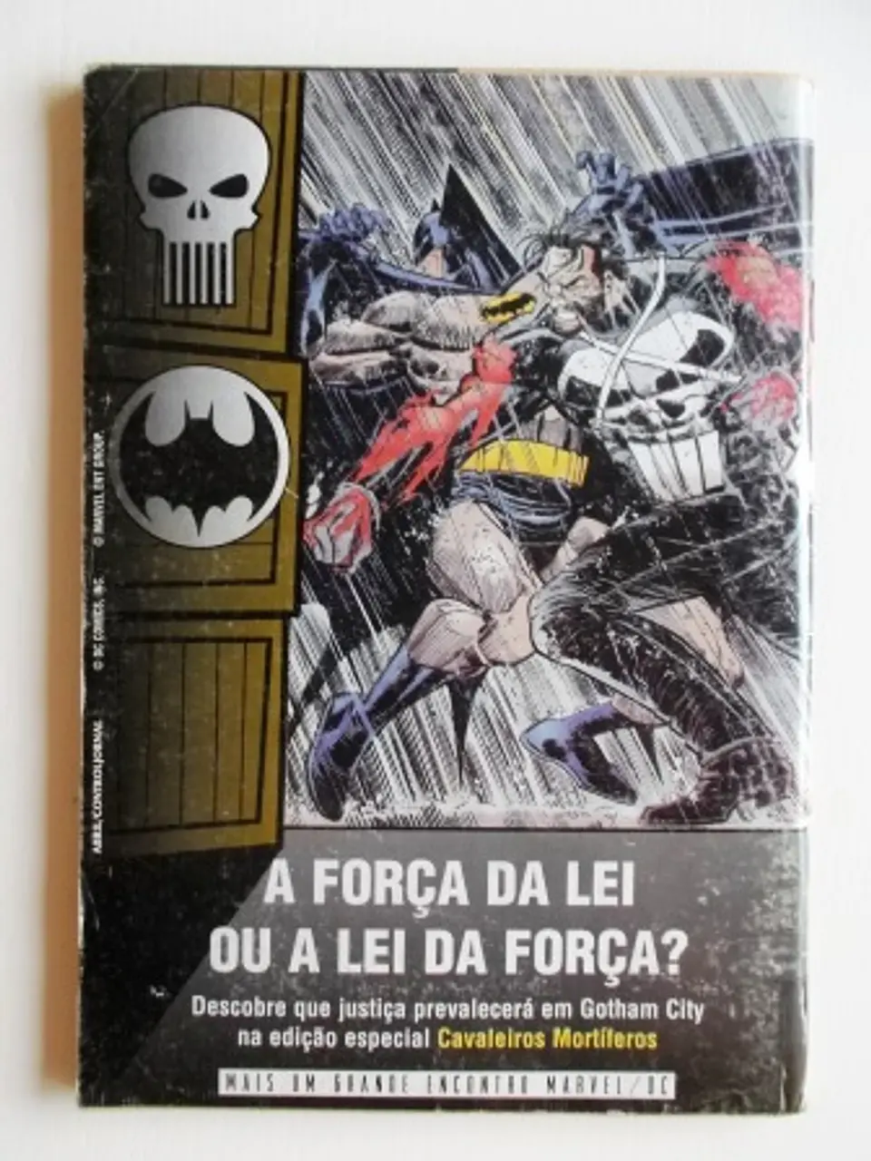 Teia do Aranha 08 2