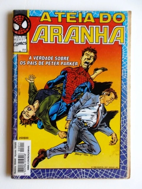 Teia do Aranha 11