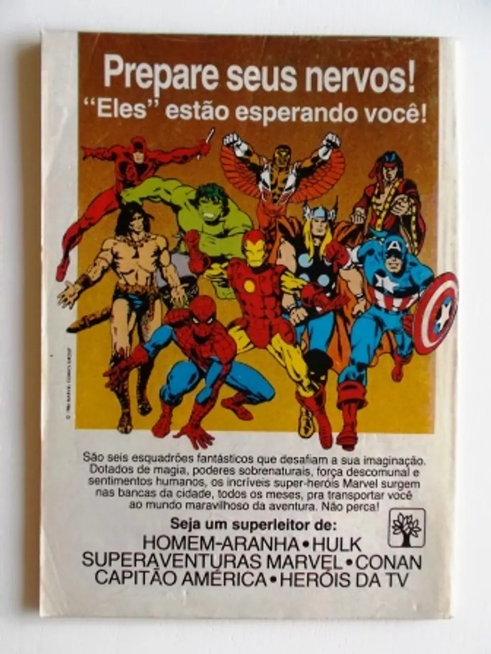 Homem Aranha 11 2