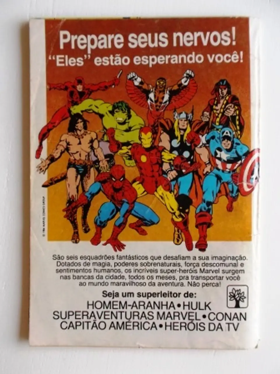 Homem Aranha 06 2