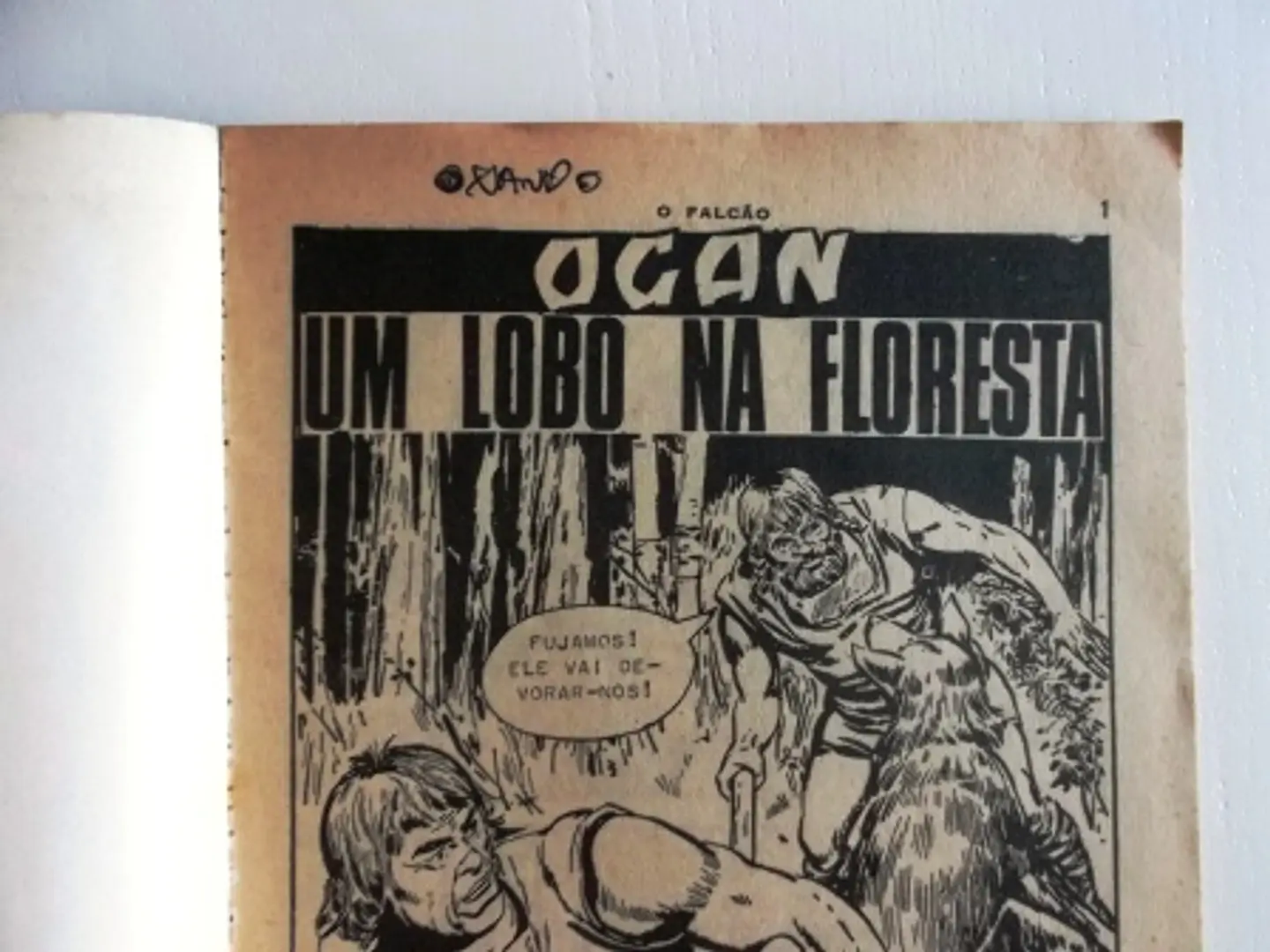 O Falcão 0502 | Ogan 4