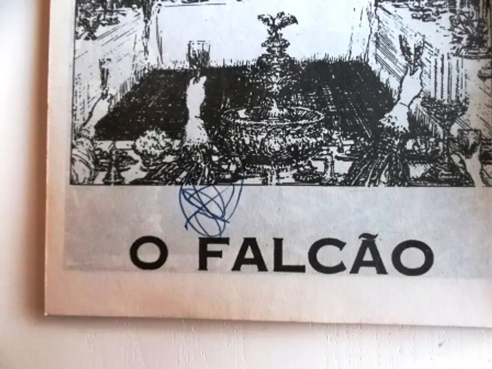 O Falcão 1143  5
