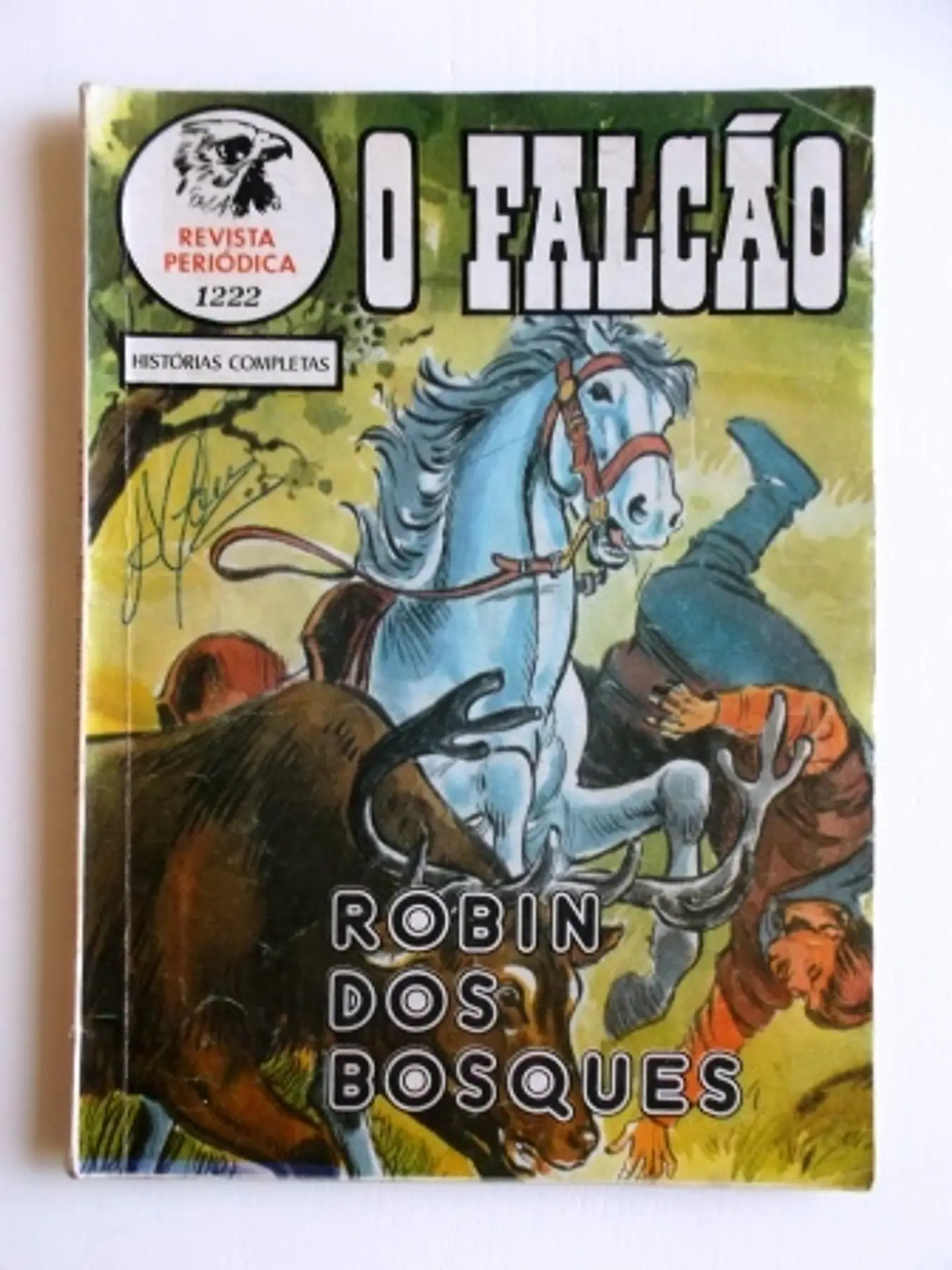 O Falcão 1222 | Robin dos Bosques 1
