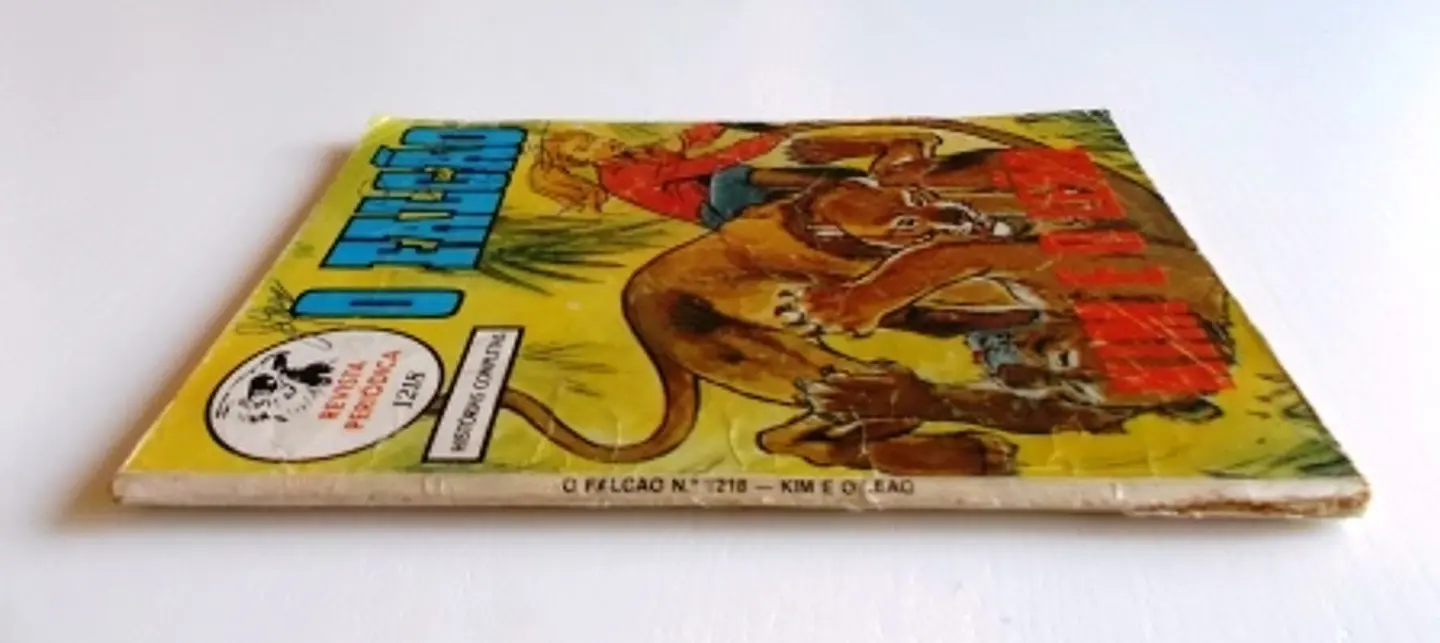 O Falcão 1218 3