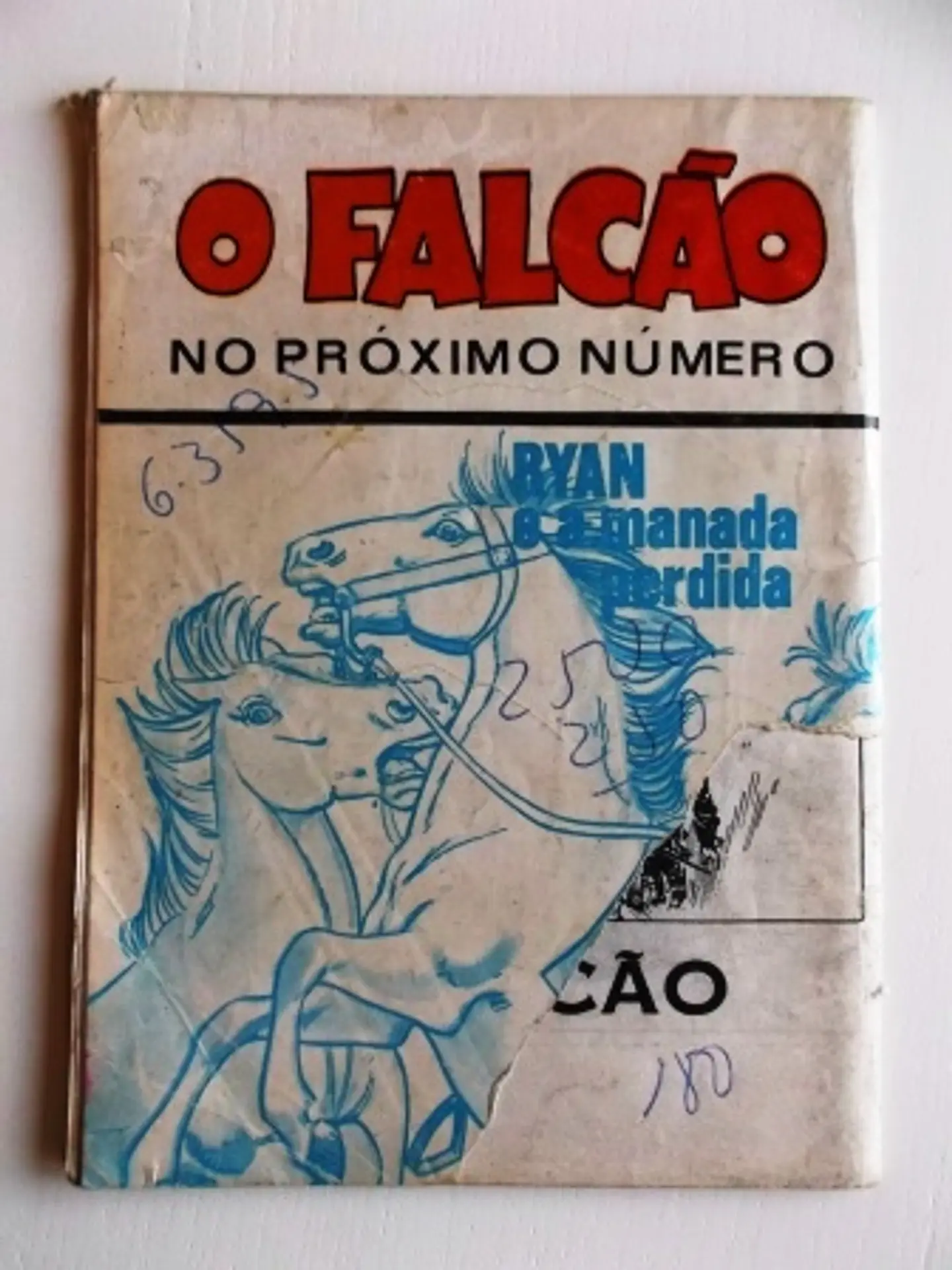 O Falcão 1100 | Rob Roy 2