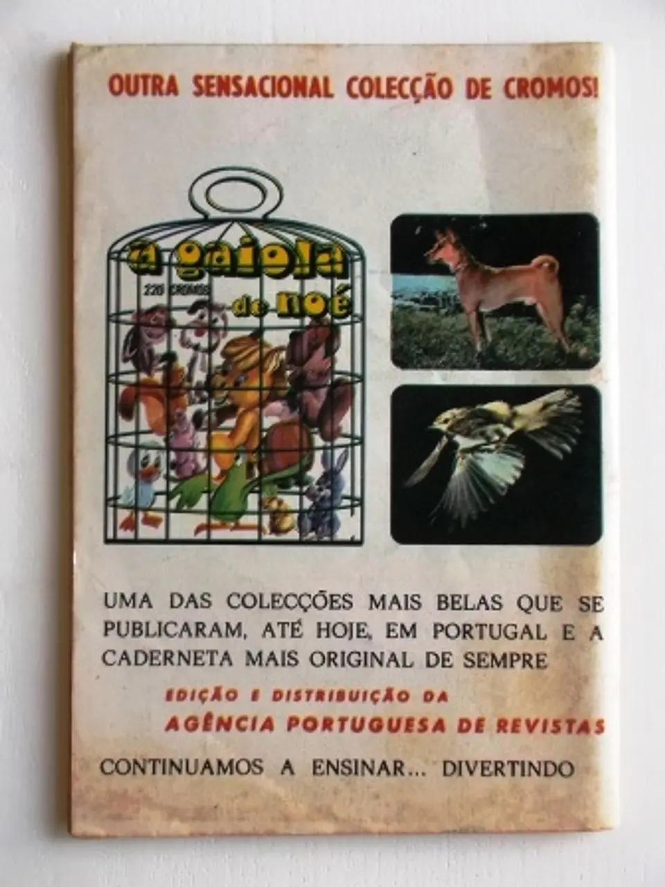 Colecção Tigre 044 | Ogan 2