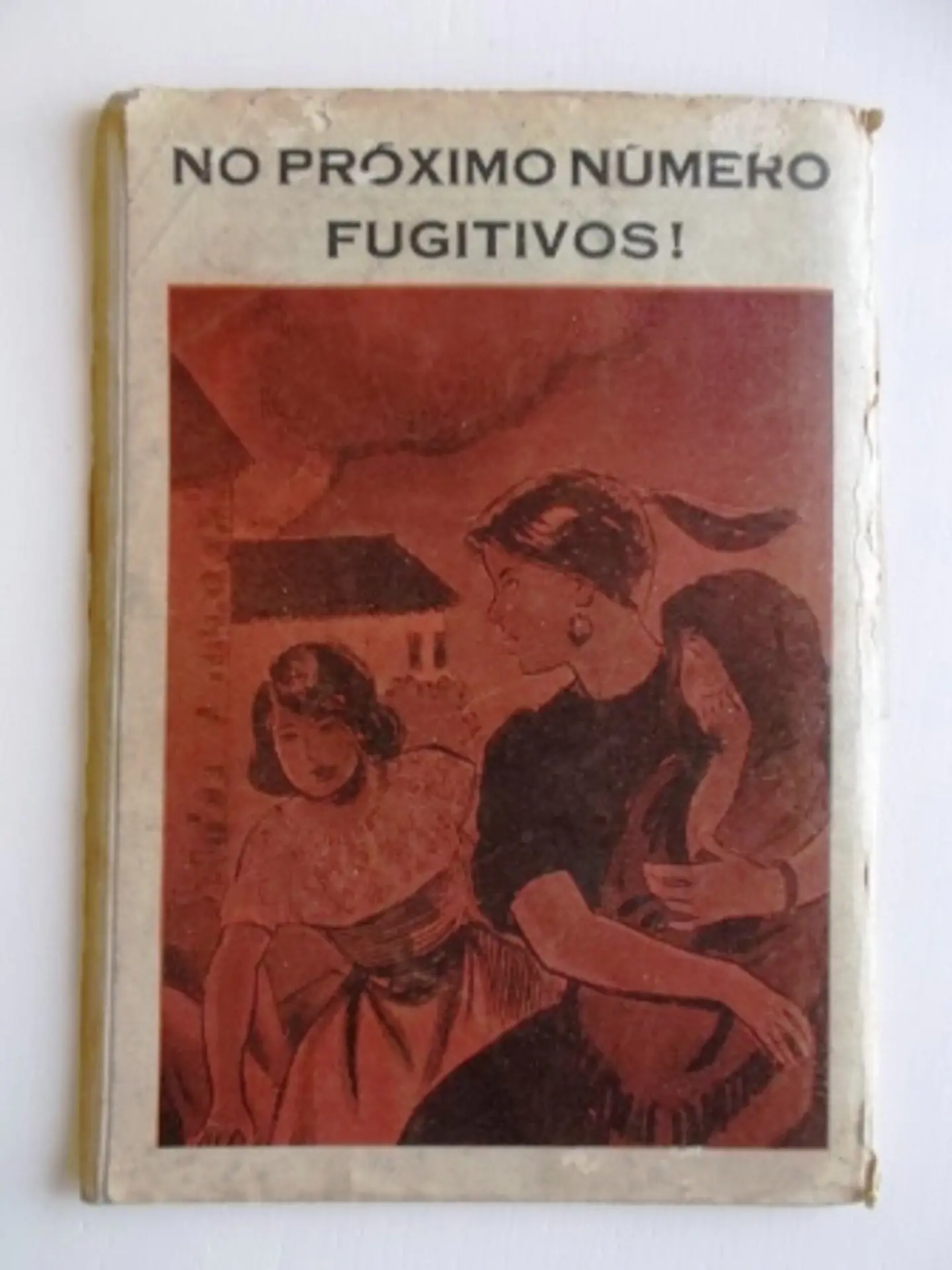 O Falcão 1177 2