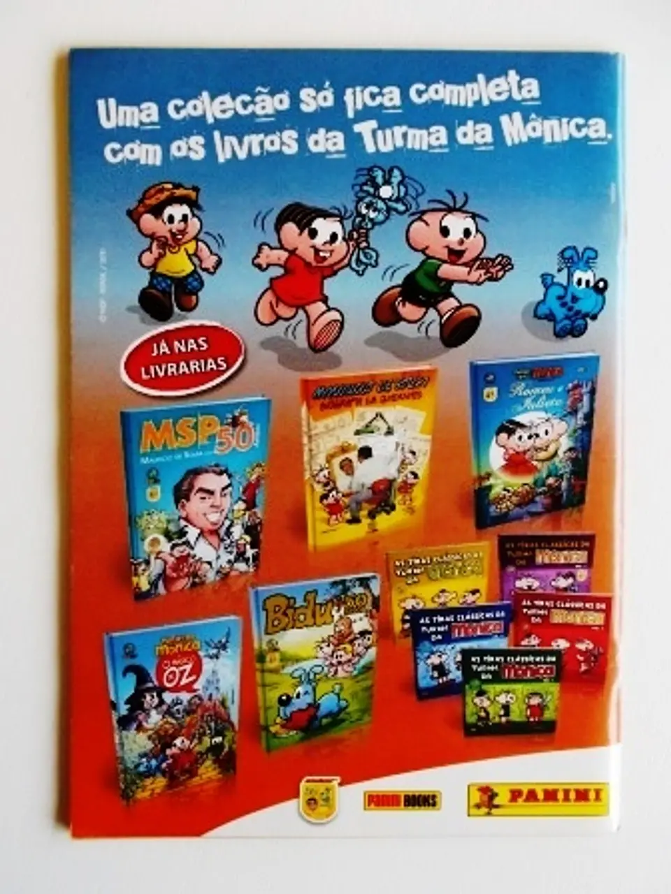 Mónica 17 2
