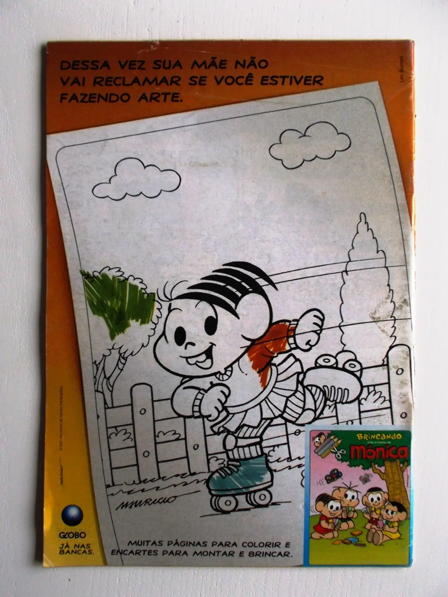 Cascão 382 2