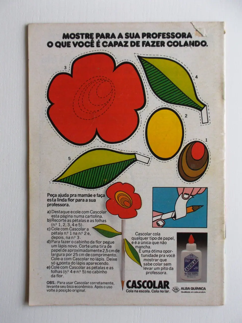 Cascão 014 2