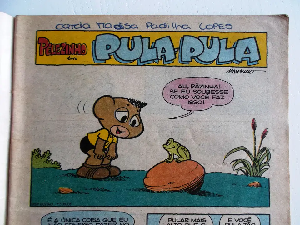 Pelezinho 33 4