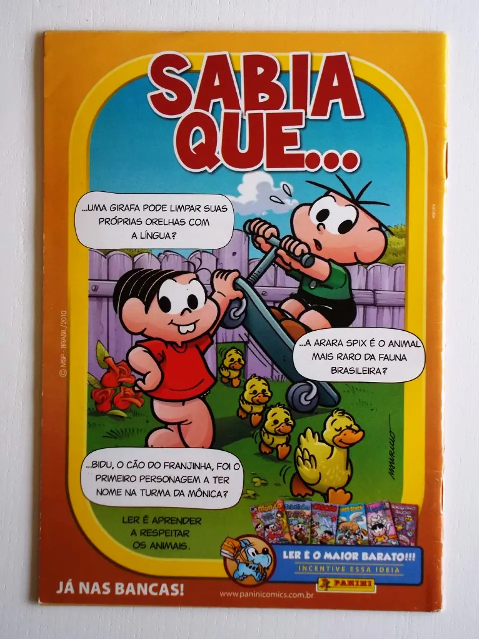 Magali 17 2