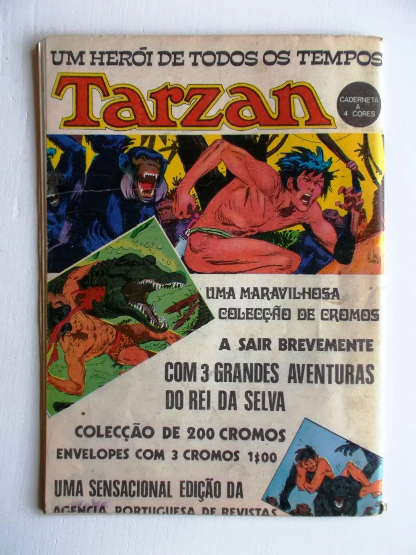 Caravana do Oeste 014 2