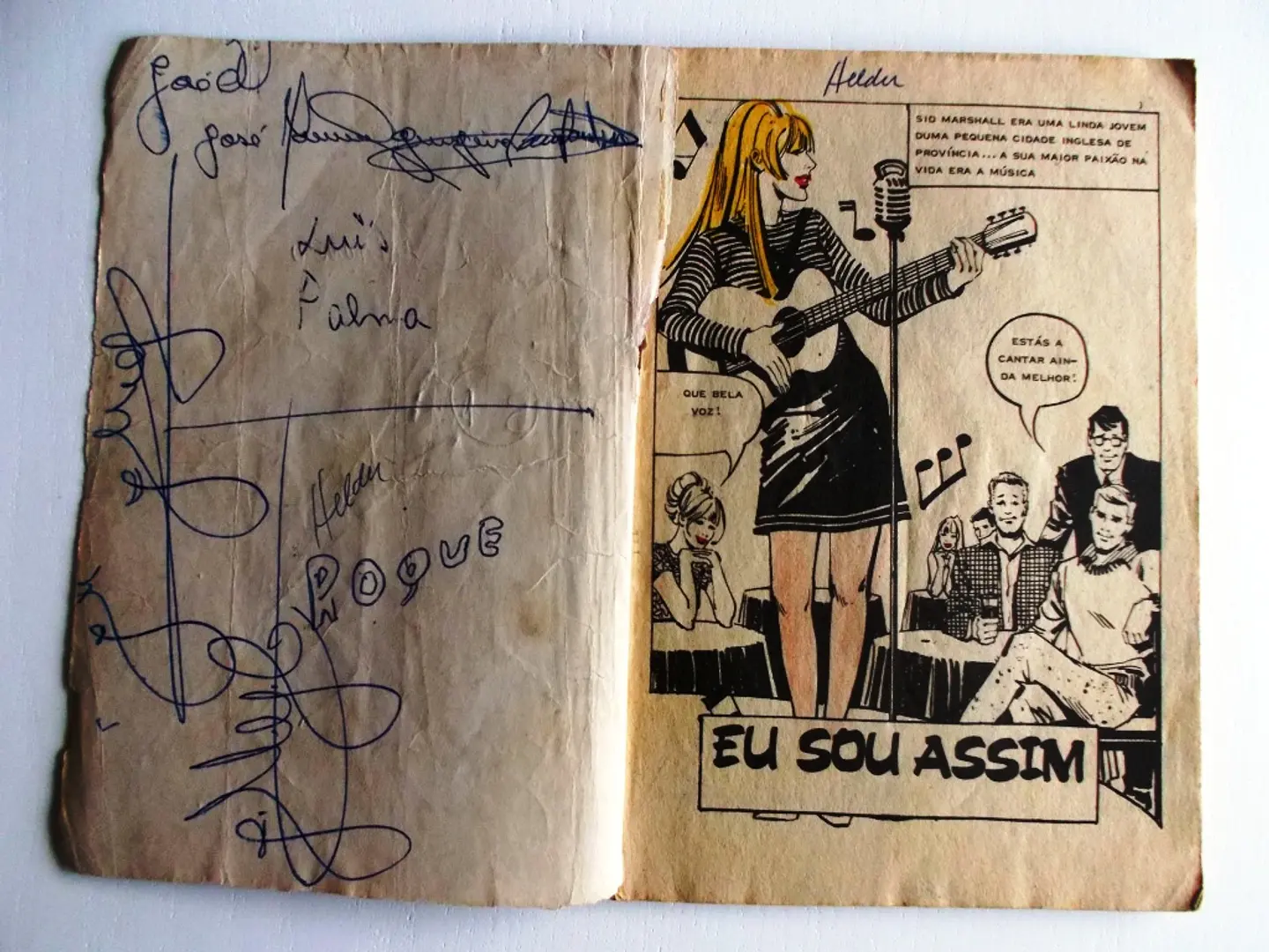 Colecção Pop 031 4