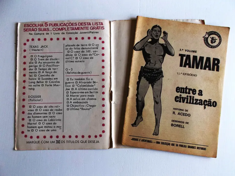 Tamar 11 4