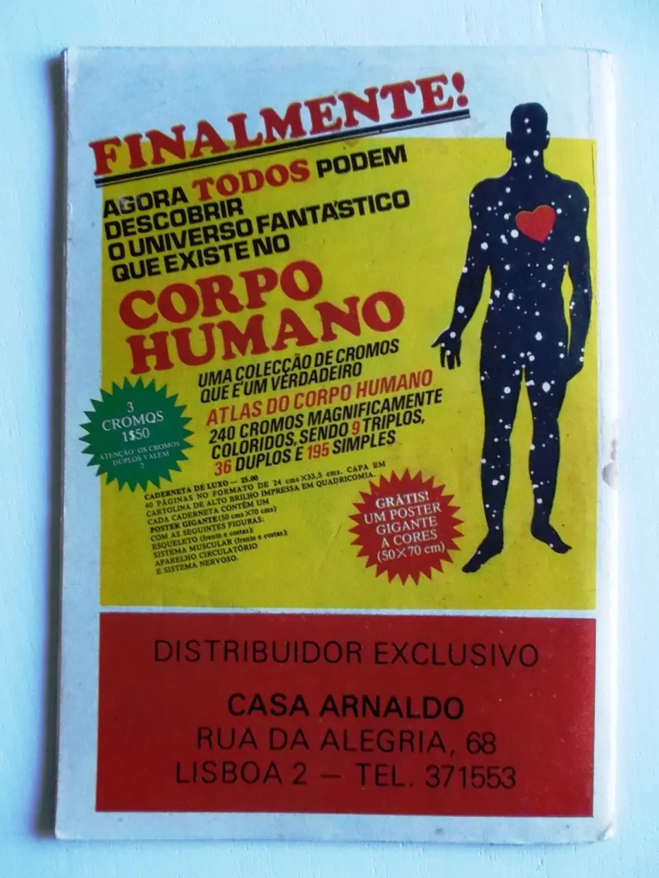 Mascara Negra 23 2