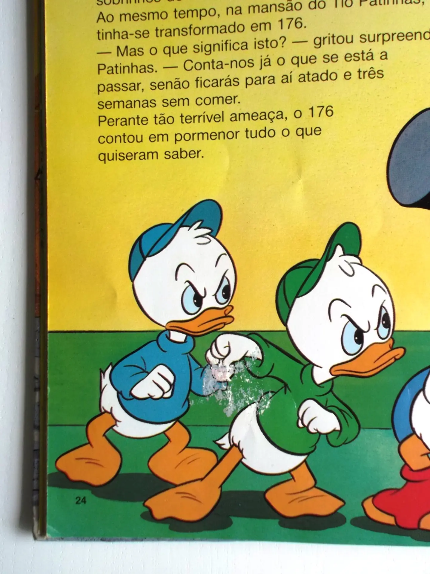 Duck Tales | Os duplos dos três patinhos 5