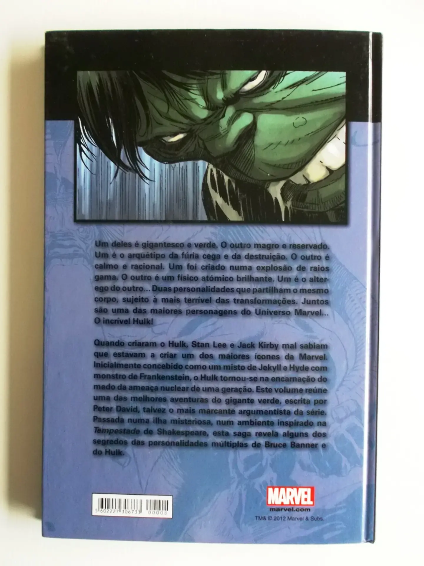 Heróis Marvel 08 - Hulk 2