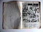 Selecçoes 191 - Thumbnail 4
