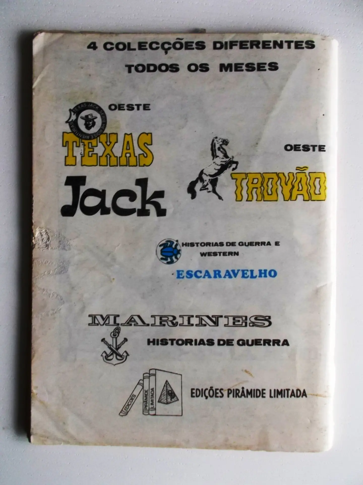Escaravelho 01 2