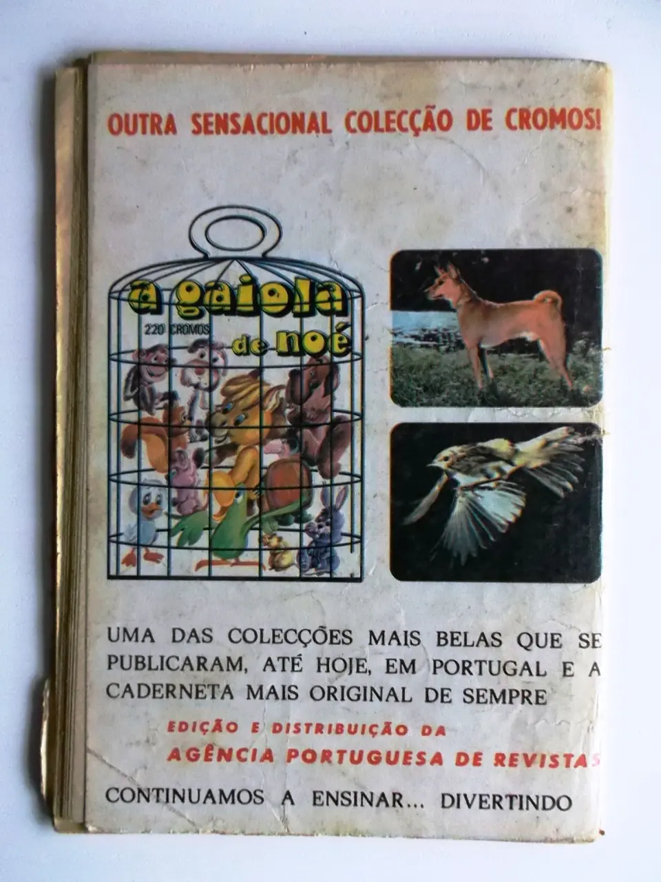 Colecção Tigre 051 | Kalar 2
