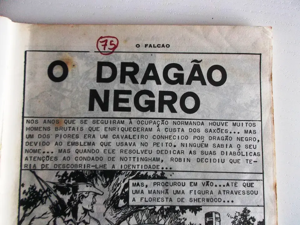 O Falcão 1176 | Robin dos Bosques 4