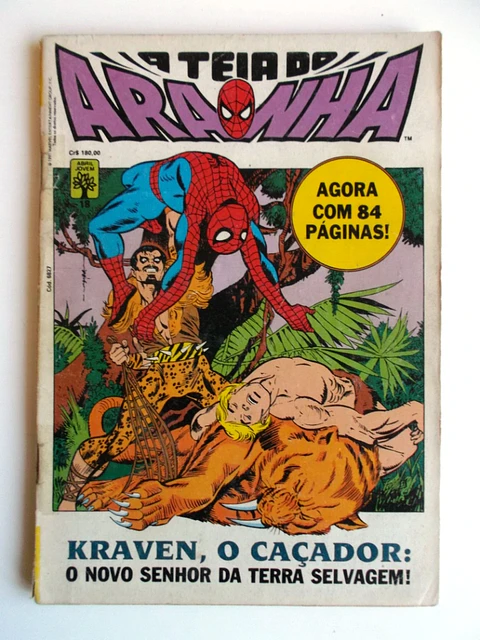 A Teia do Aranha 018