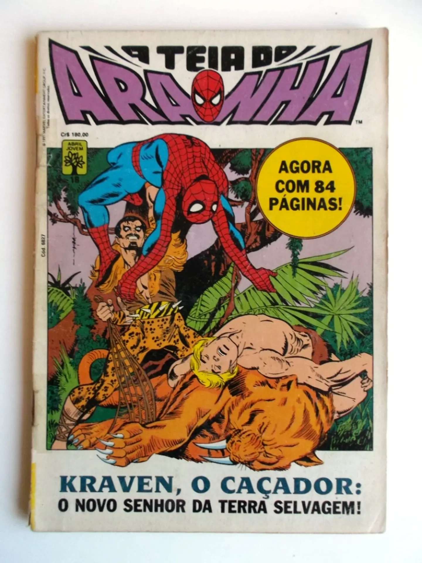 A Teia do Aranha 018 1