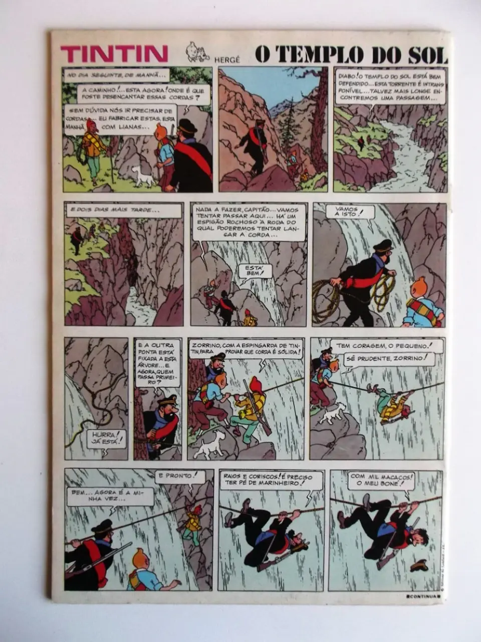 Tintin 1223 2