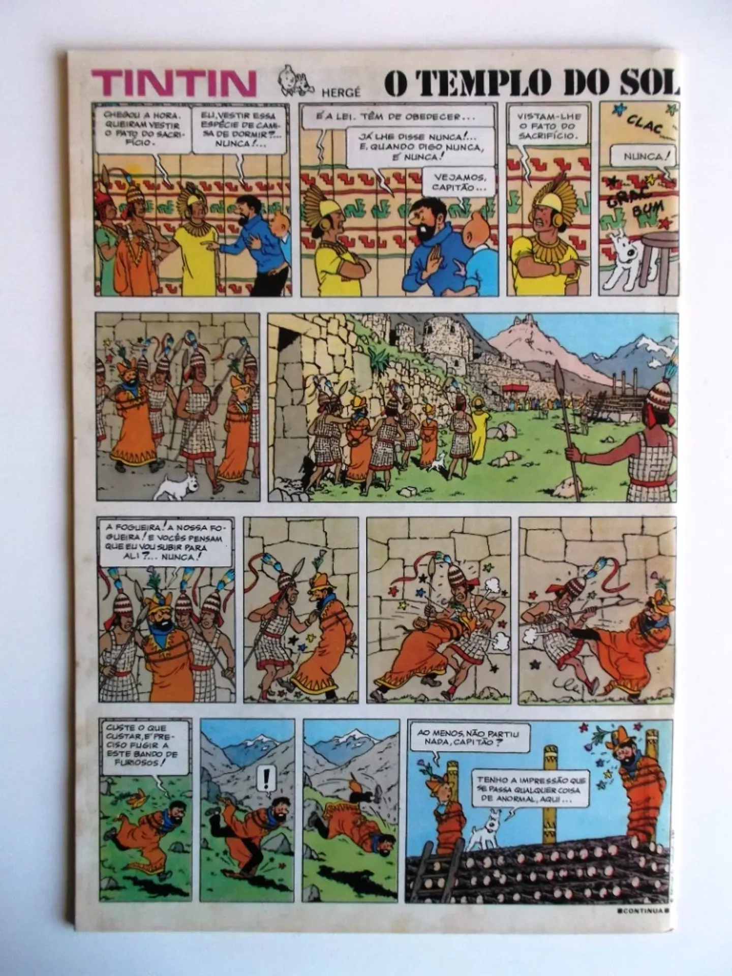 Tintin 1231 2