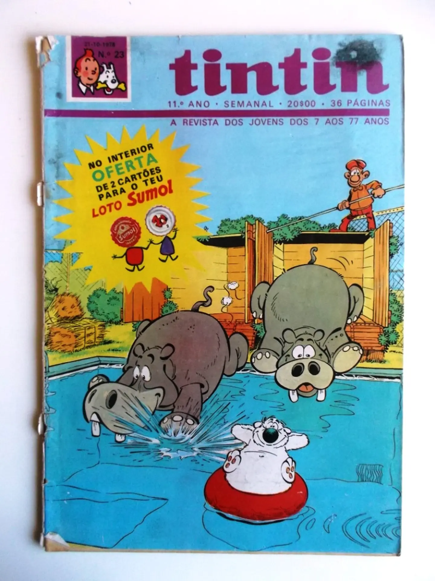 Tintin 1123 1