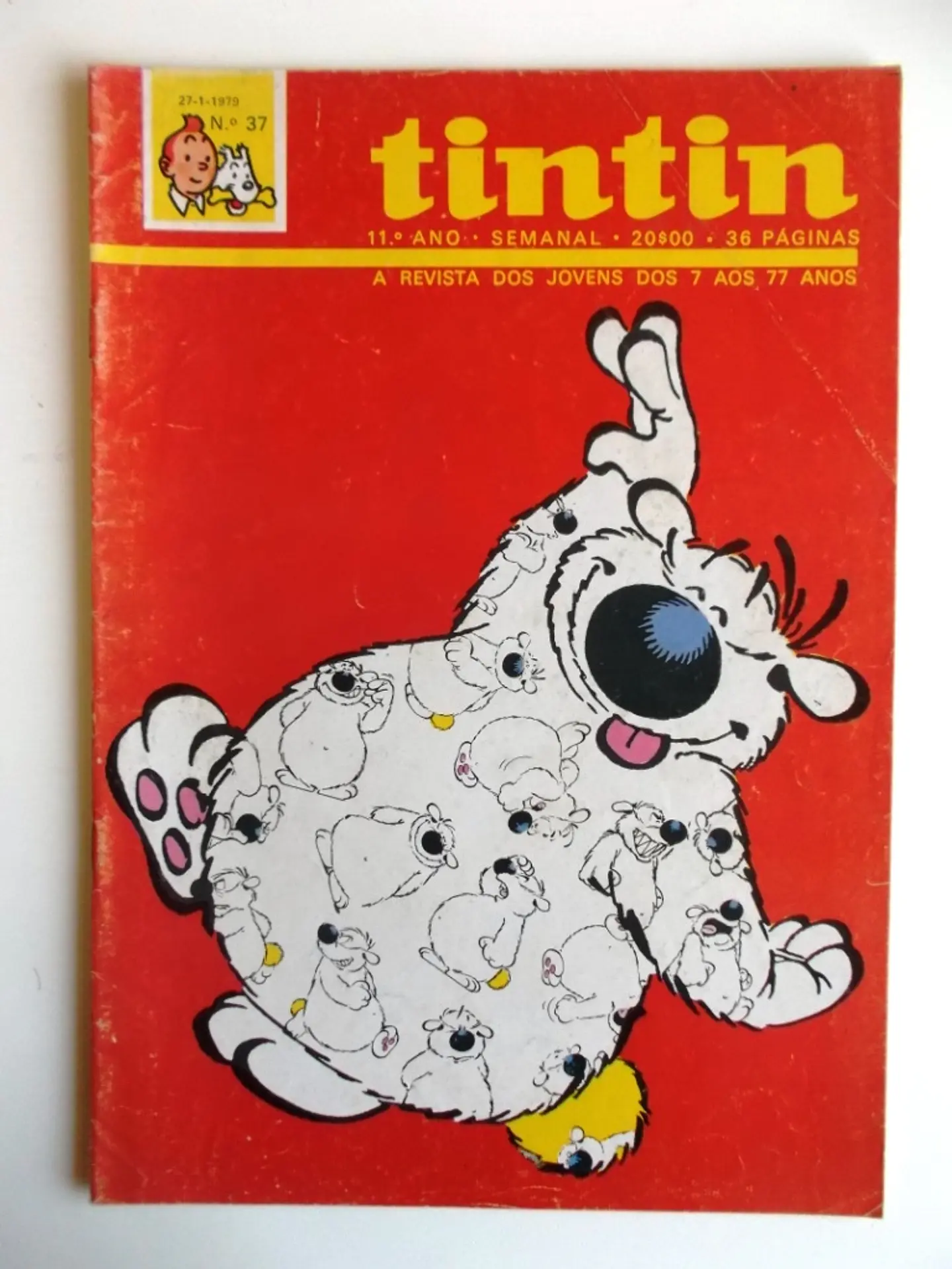 Tintin 1137 1