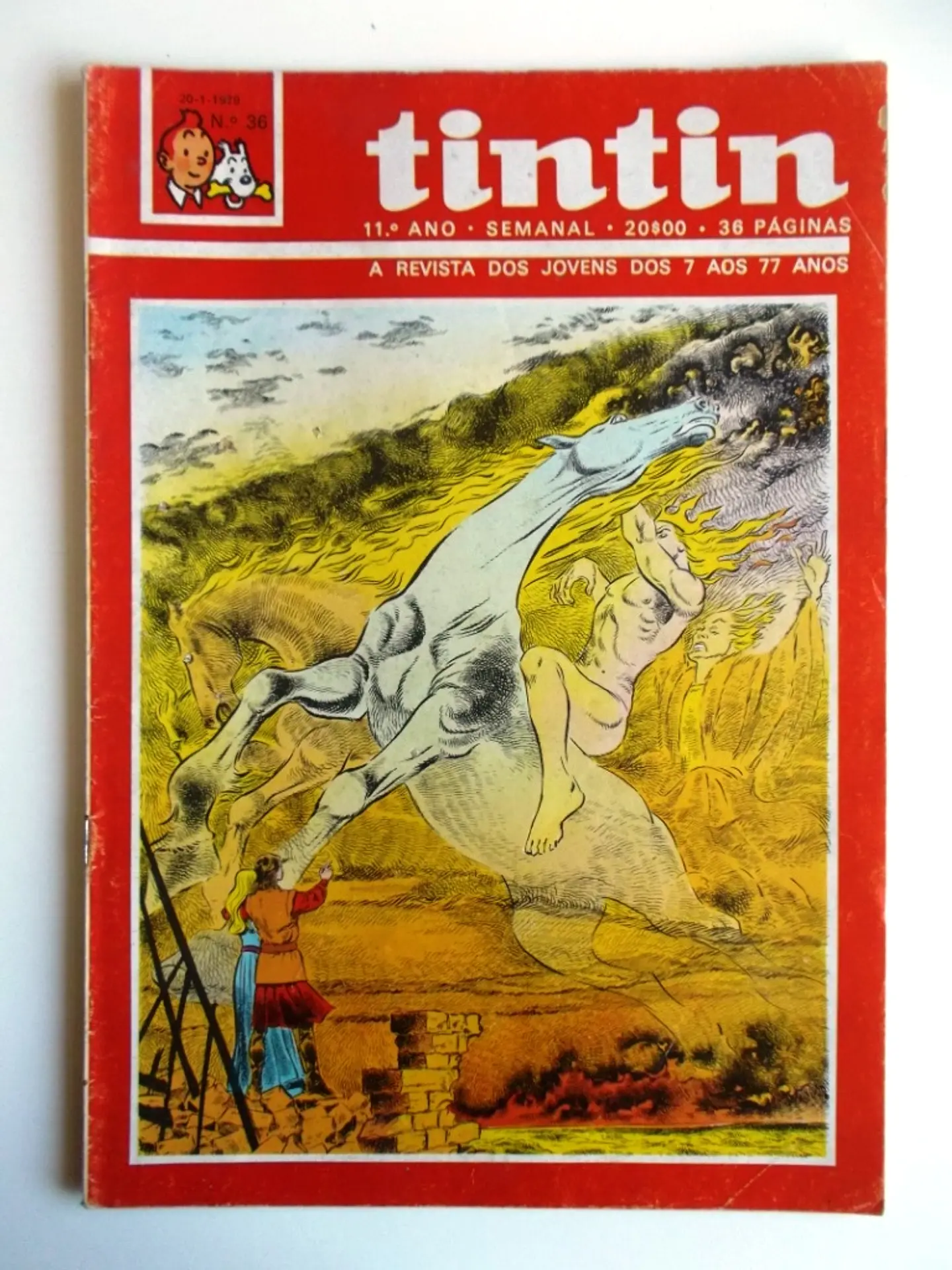 Tintin 1136 1