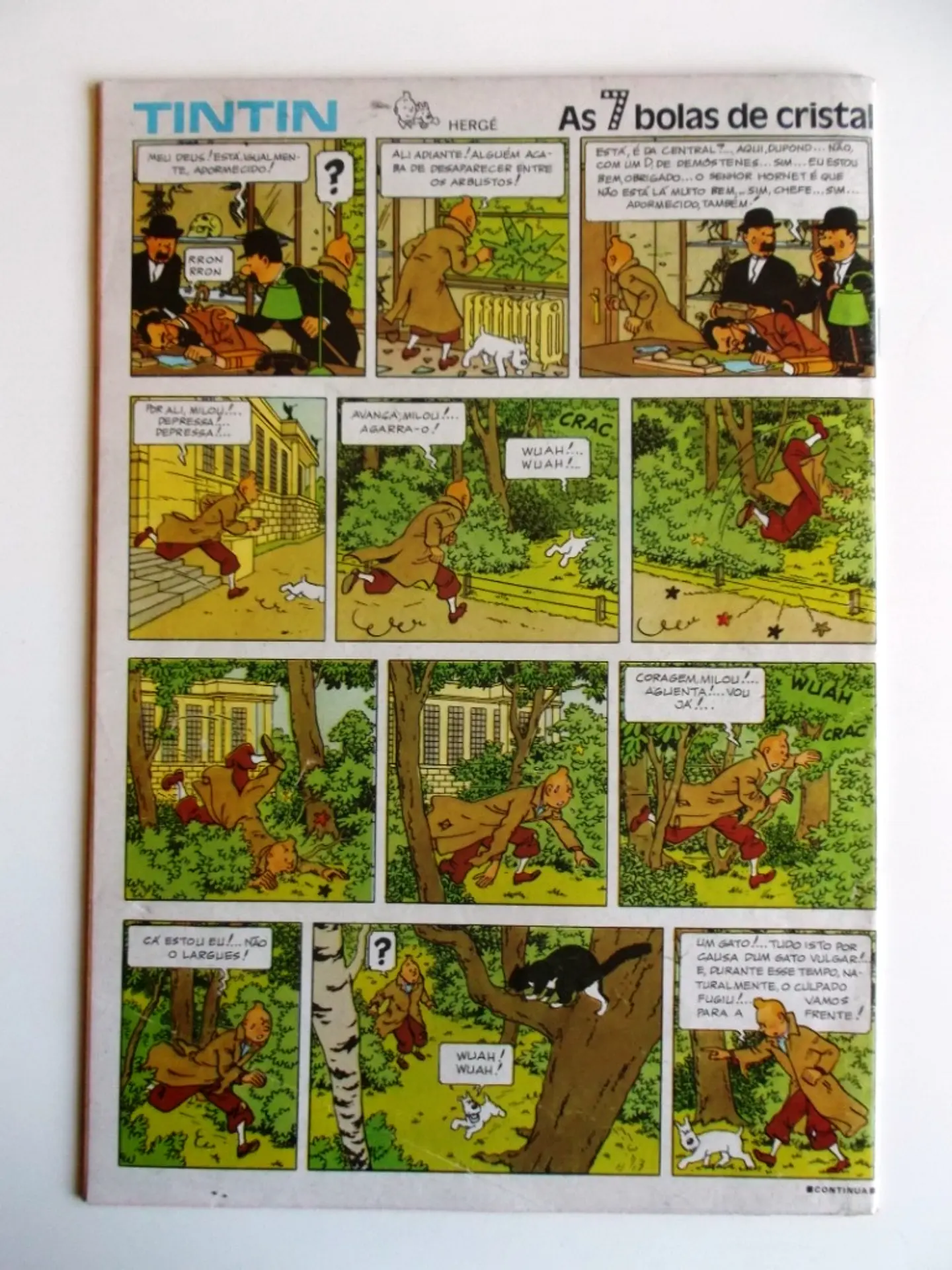 Tintin 1136 2