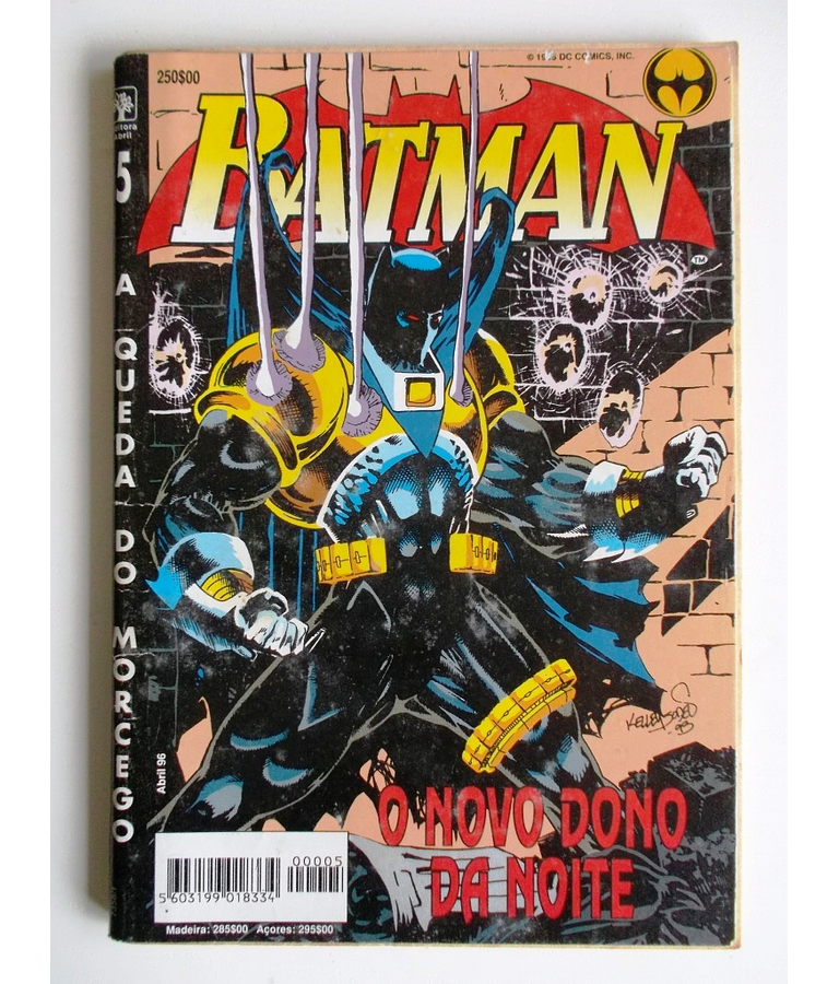 Batman - A Queda do Morcego 05