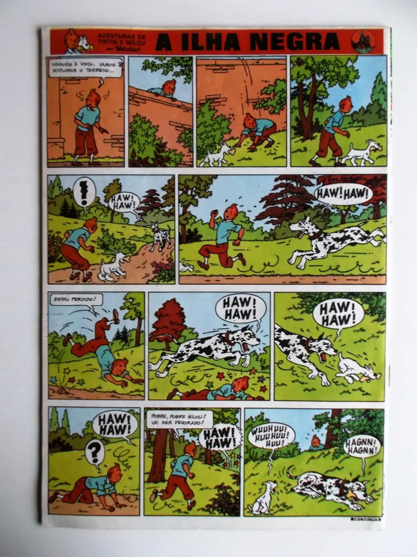 Tintin 0706 2