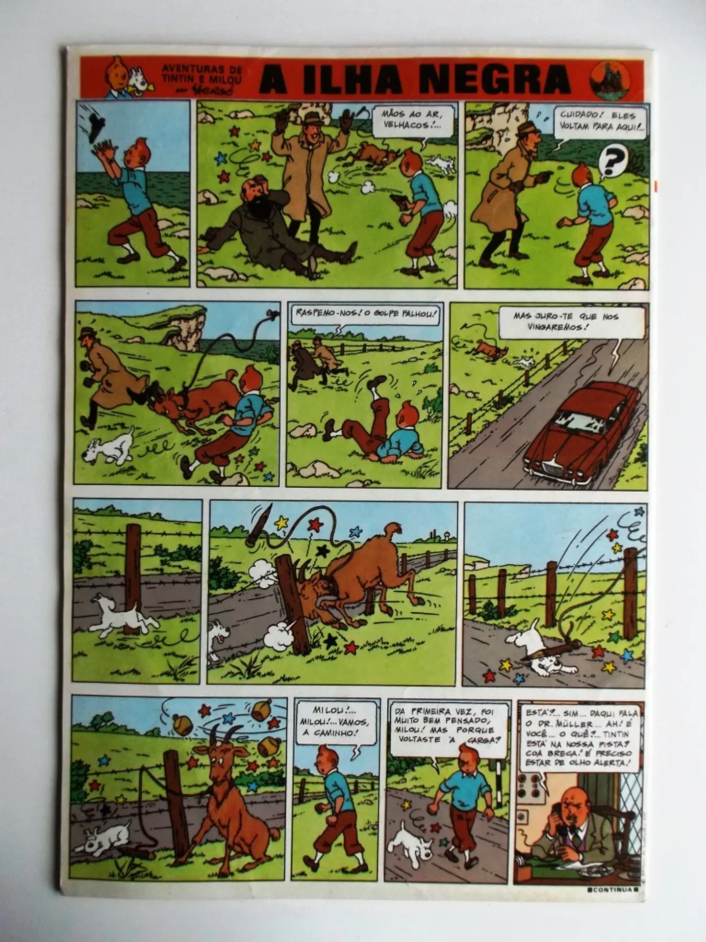Tintin 0704 2