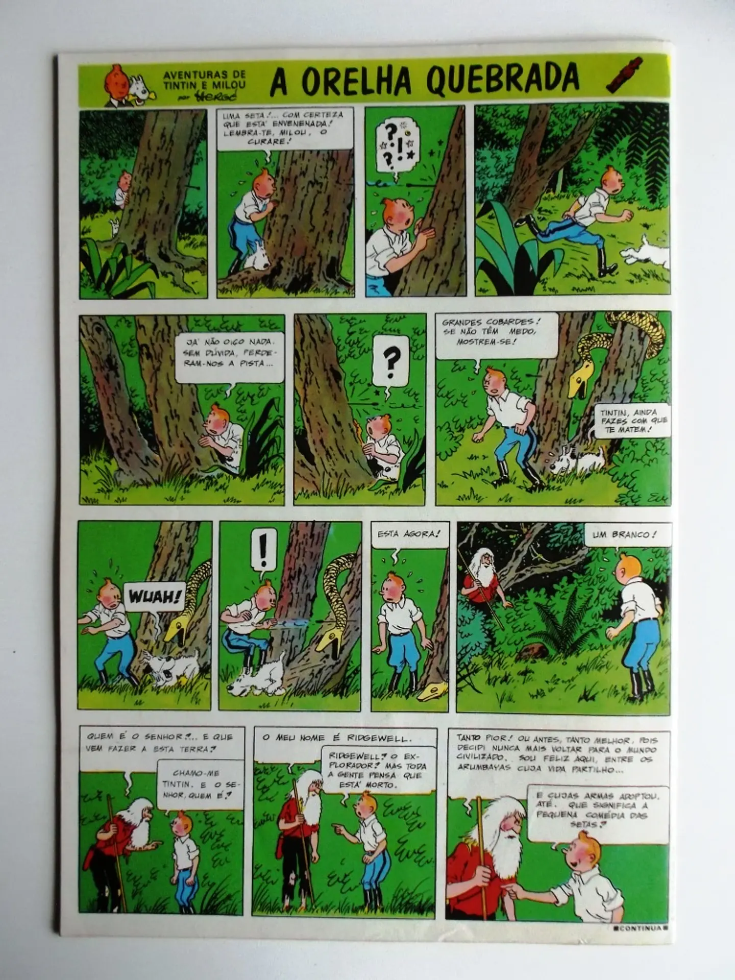 Tintin 0644 2