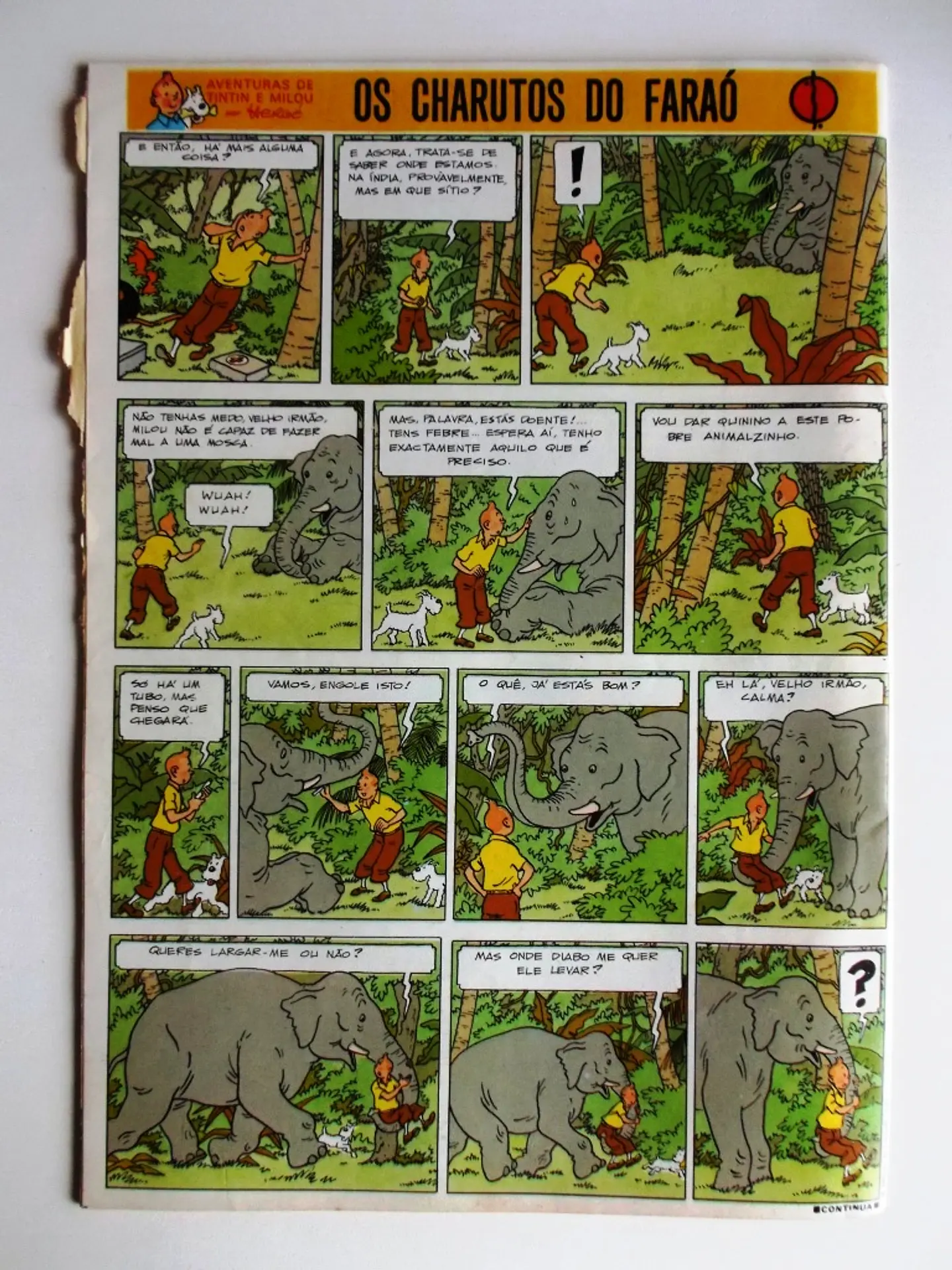 Tintin 0527 2