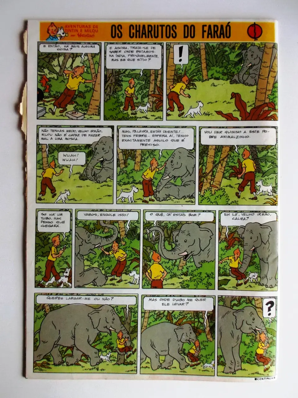 Tintin 0527 2