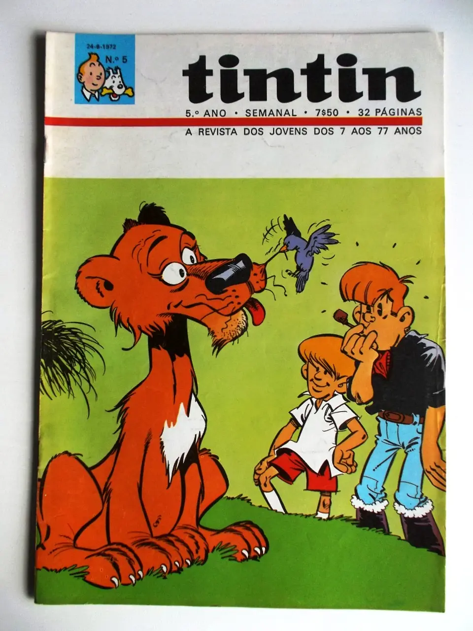Tintin 0505 1