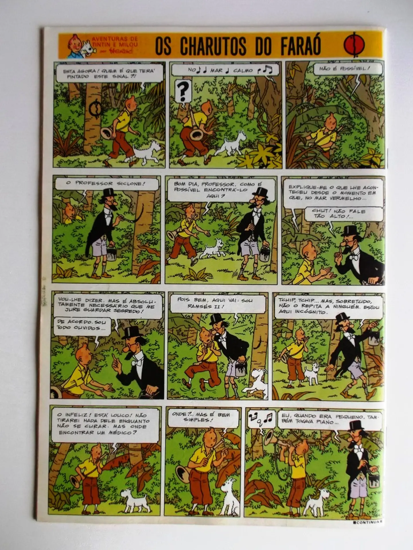 Tintin 0528 2
