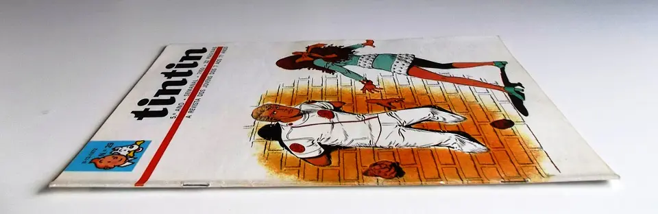 Tintin 0529 3