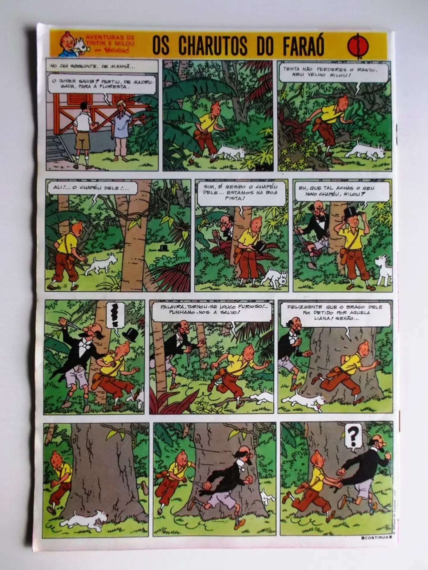 Tintin 0530 2
