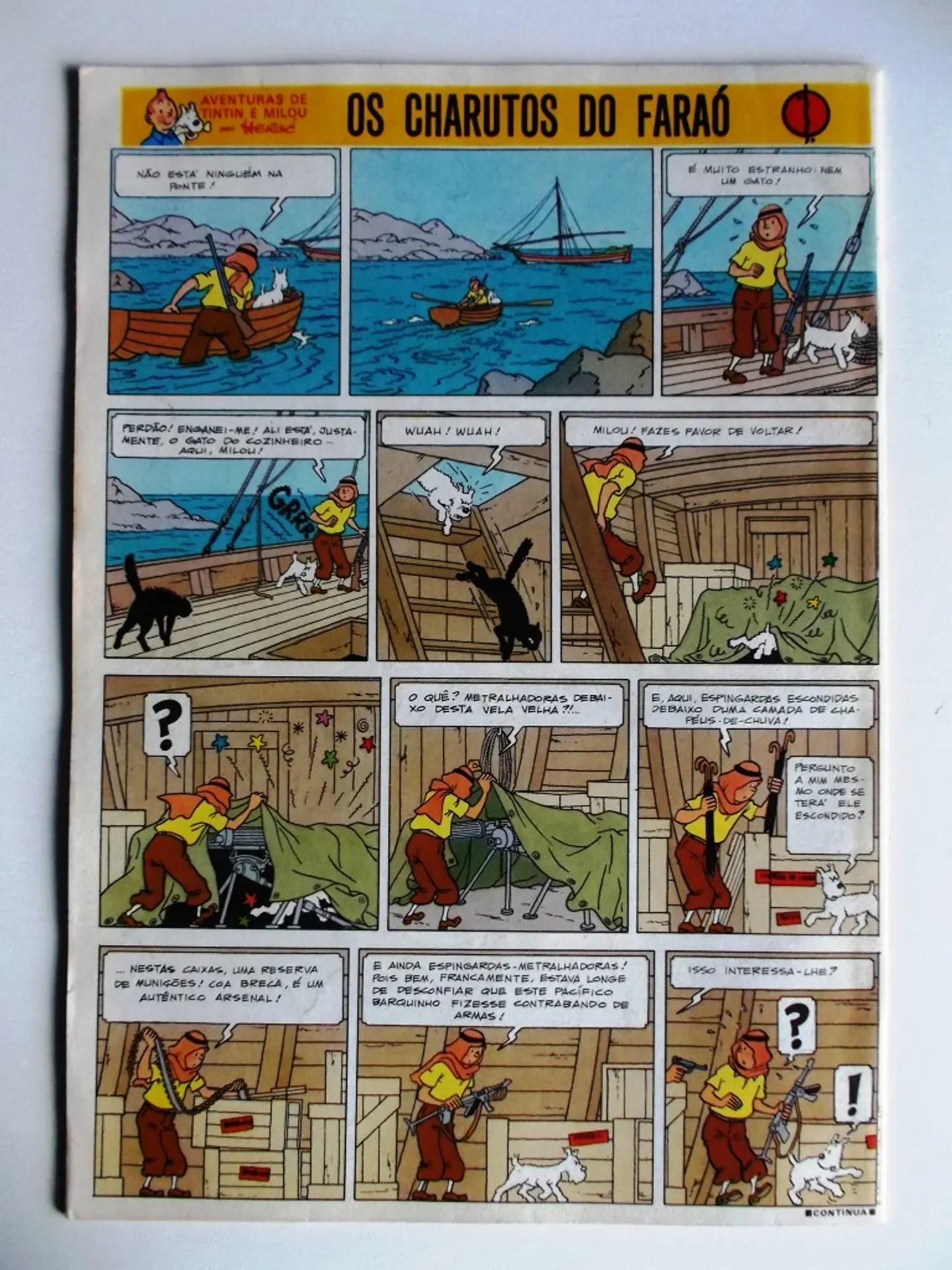Tintin 0519 2