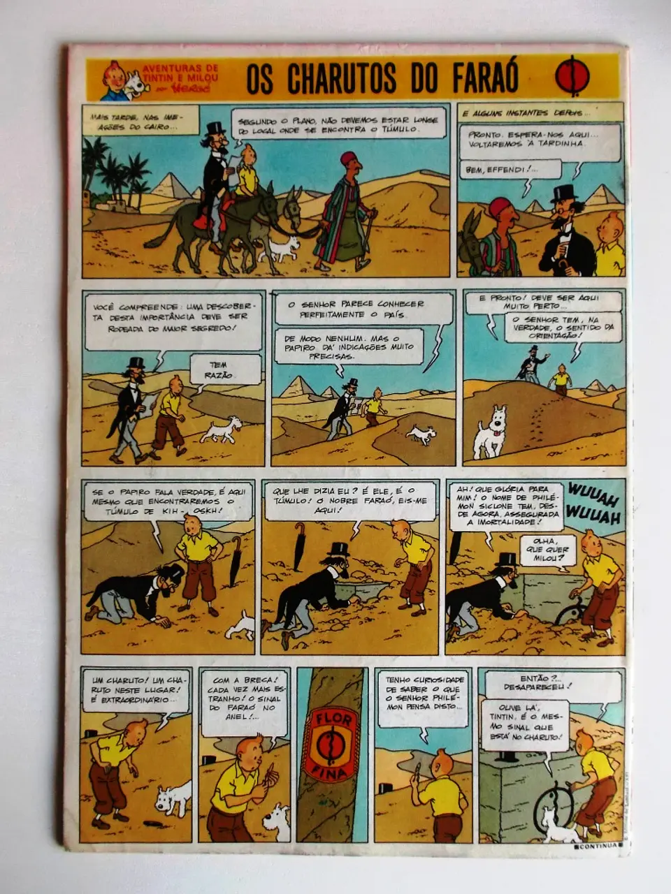Tintin 0513 2
