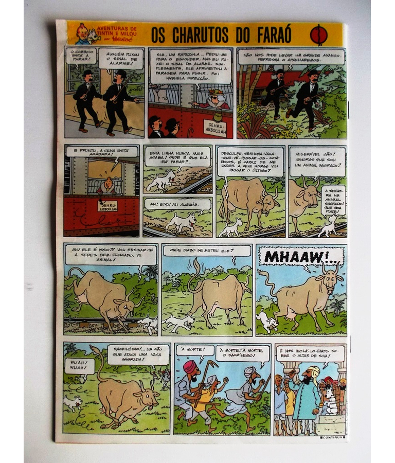 Tintin 0534